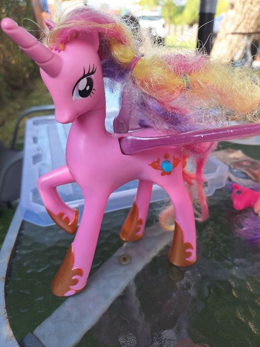 Koniki Pony/ graja i świecą