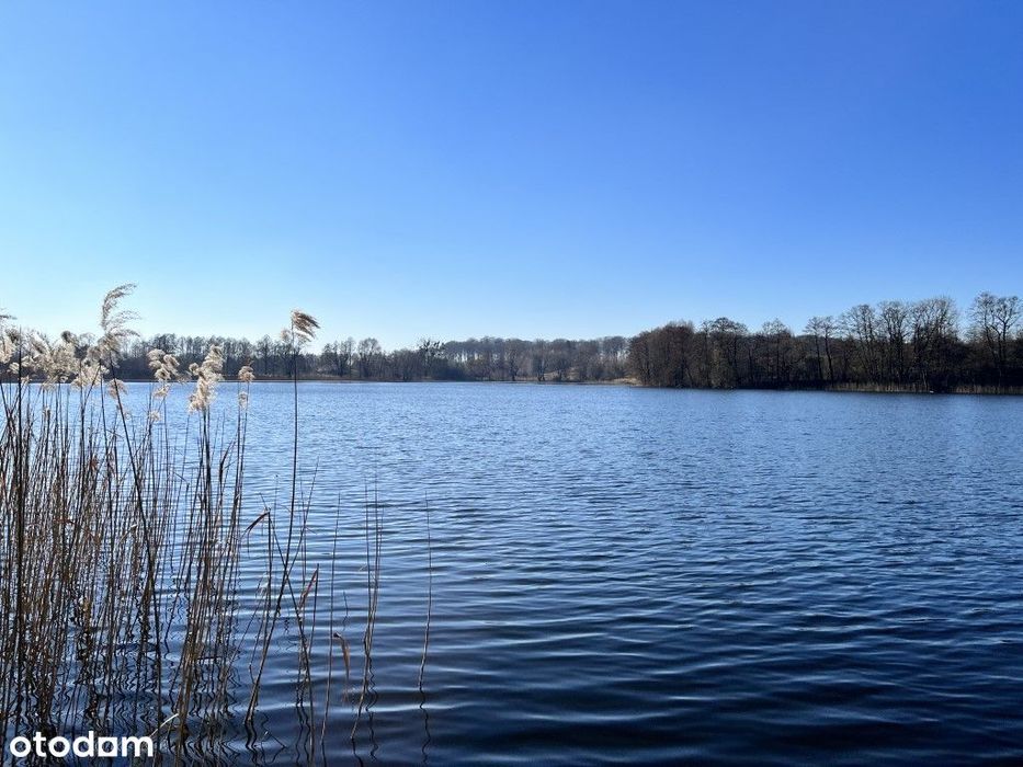 Azyl - Działka z linią brzegową Gulbiny nad jeziorem Trąbińskim - View 4