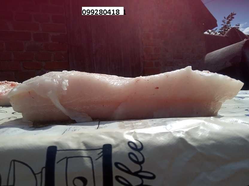 Вьетнамские свинки+свинина