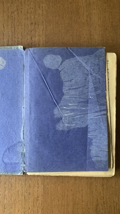 A Rosa do Adro - Manuel Maria Rodrigues