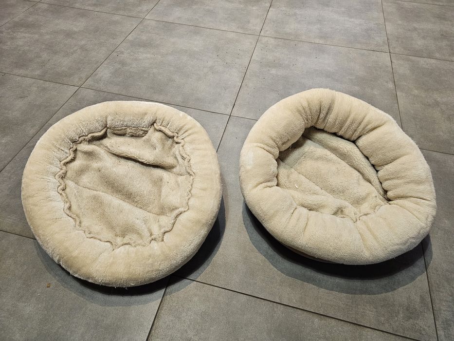 Legowisko dla kota, półka