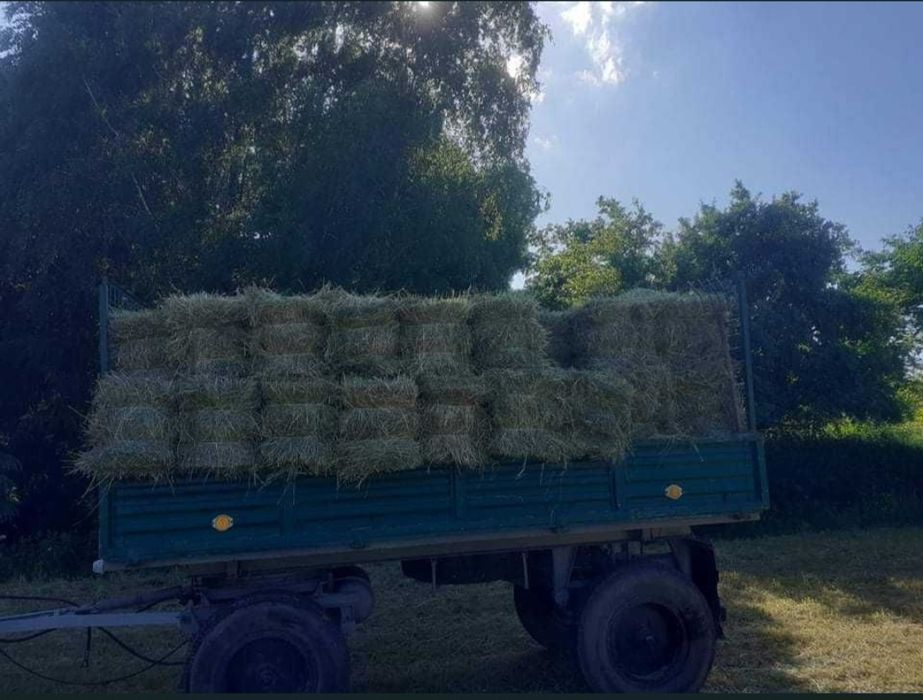 Sprzedam siano tegoroczne
