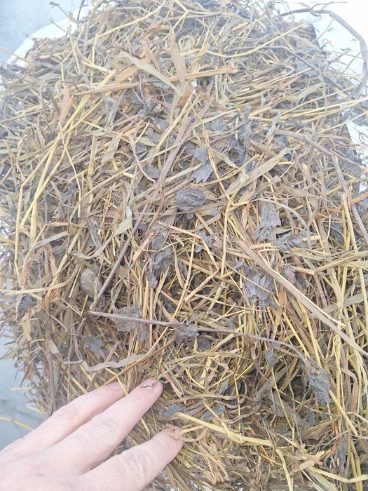 Sianokiszonka siano słoma kukurydza w belach szybka dostawa