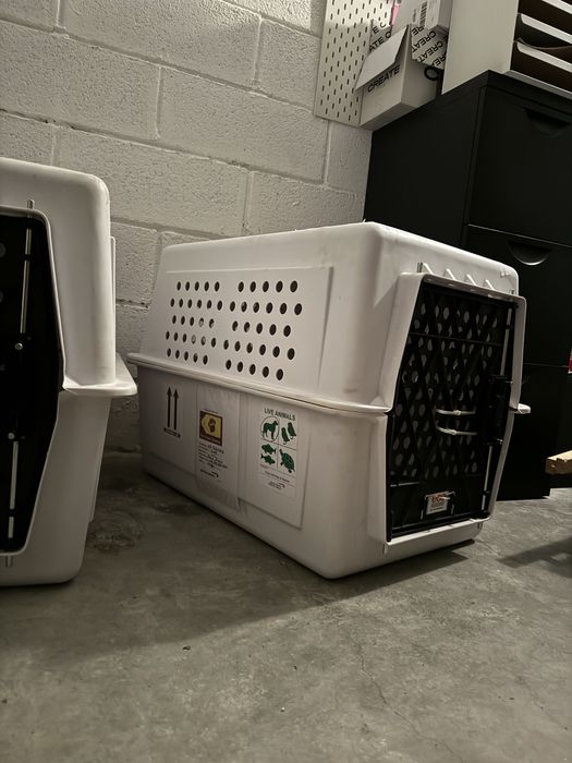 Transportadora animais para Avião!  80x55