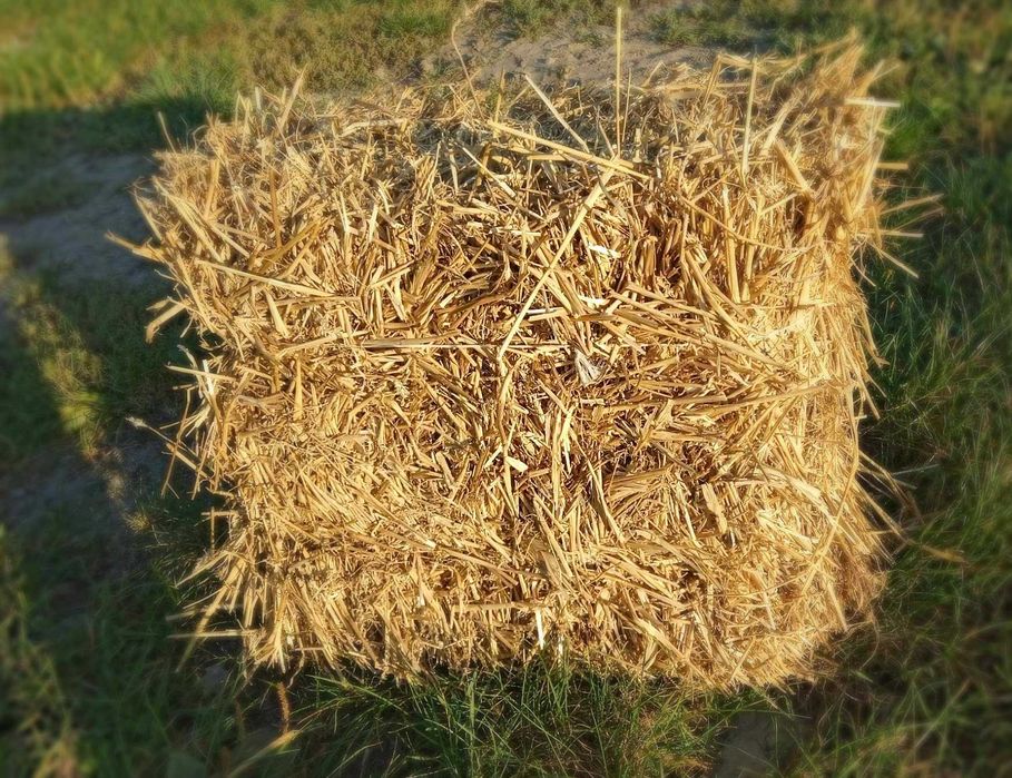 Słoma, ściółka do budy dla psa królika drobiu 4kg