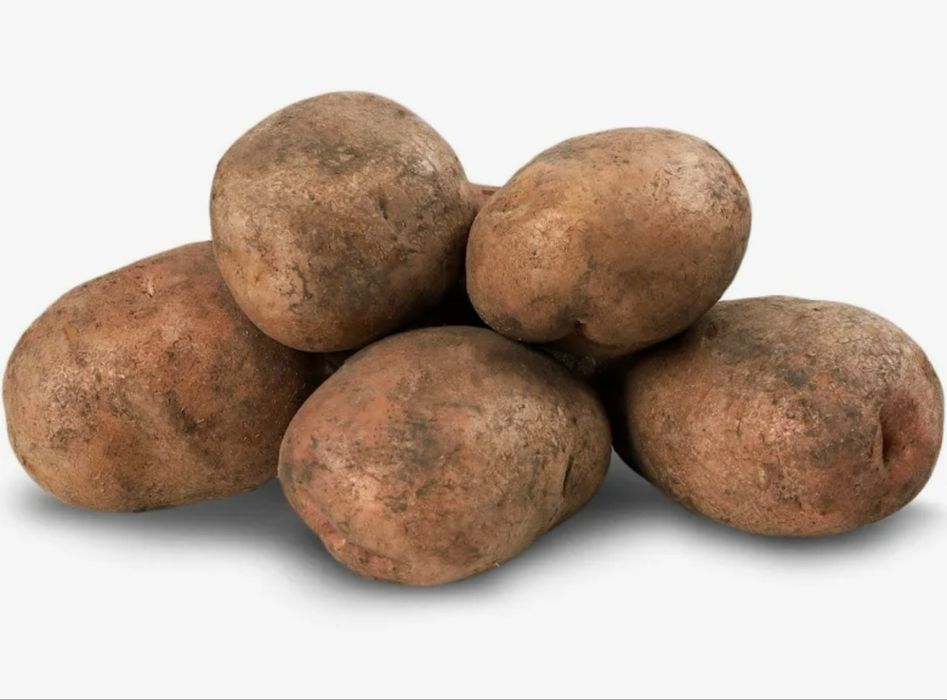 Продам картоплю, моркву, буряк