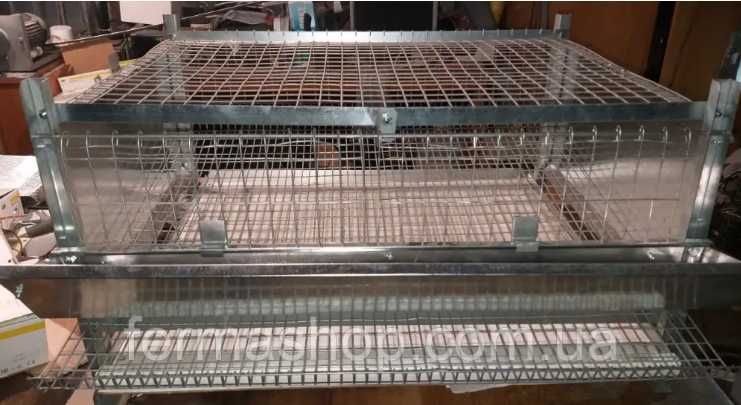 Клетка для перепелов-несушек на 30 голов