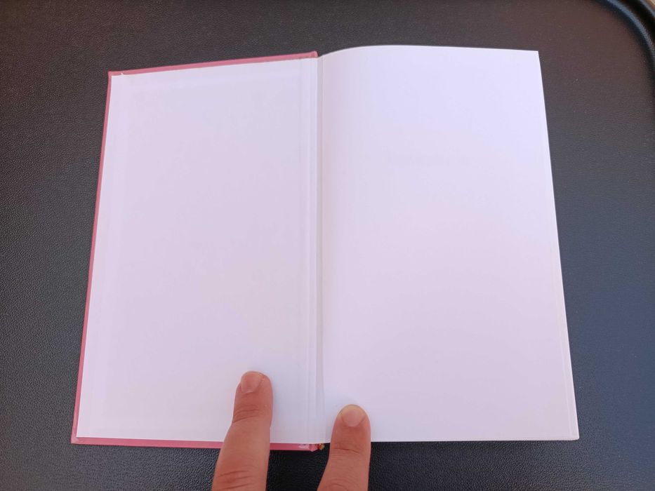 Livro "Finjam que não a vêem", Mary Higgins Clark