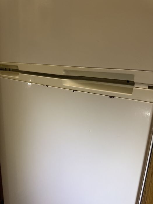 Холодильник Snaige