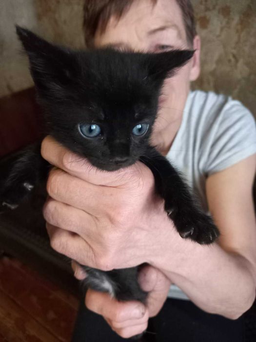 Отдам в хорошие руки!