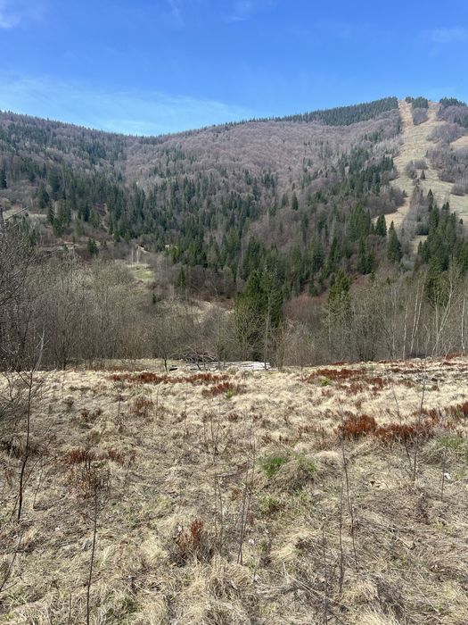 Продам земельну ділянку Славське