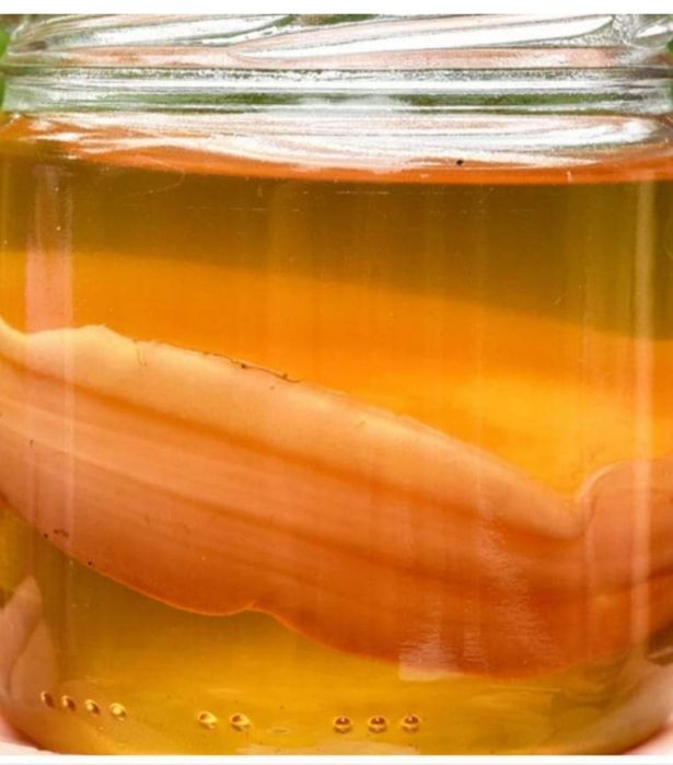 Чайный гриб ,,Комбуча,,