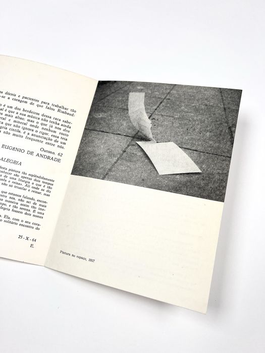 Ângelo de Sousa Galeria Buchholz 1968