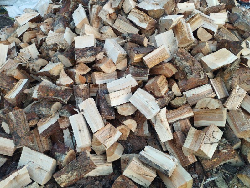 Drzewo opałowe Sosna