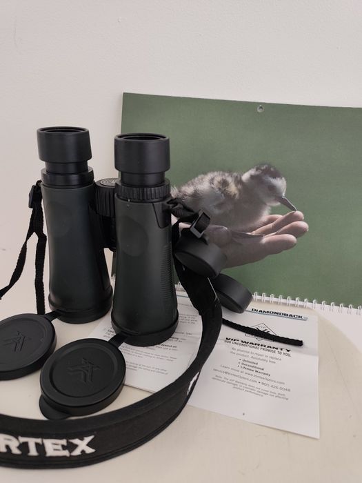 Lornetka vortex Diamondback HD 10x50