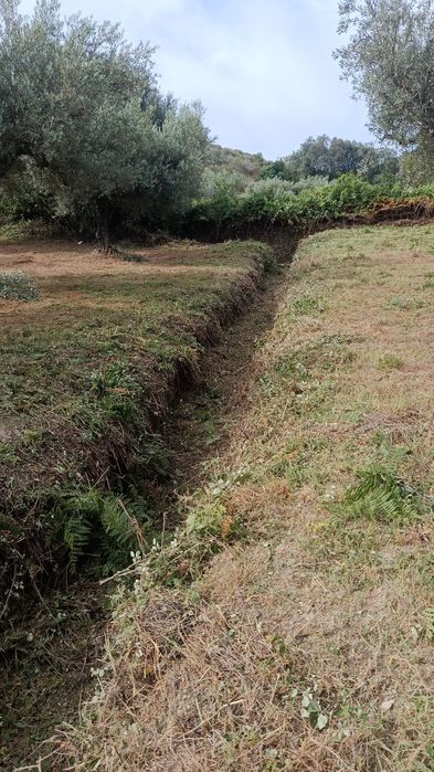 Limpezas de terrenos e caminhos aldeias etc