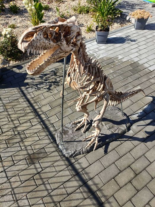 Escoleto de dinossauro