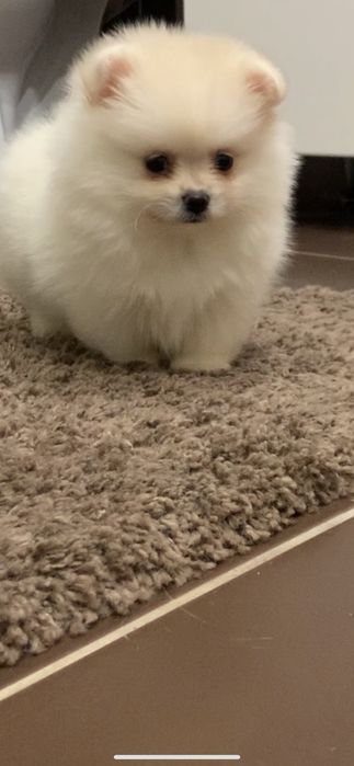 Мальчики и девочки