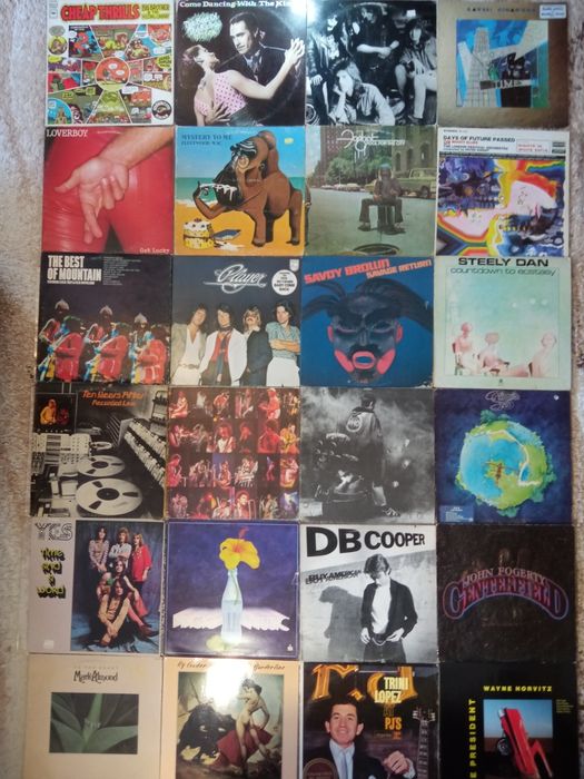 Пластинки виниловые и патефоннные пластинки