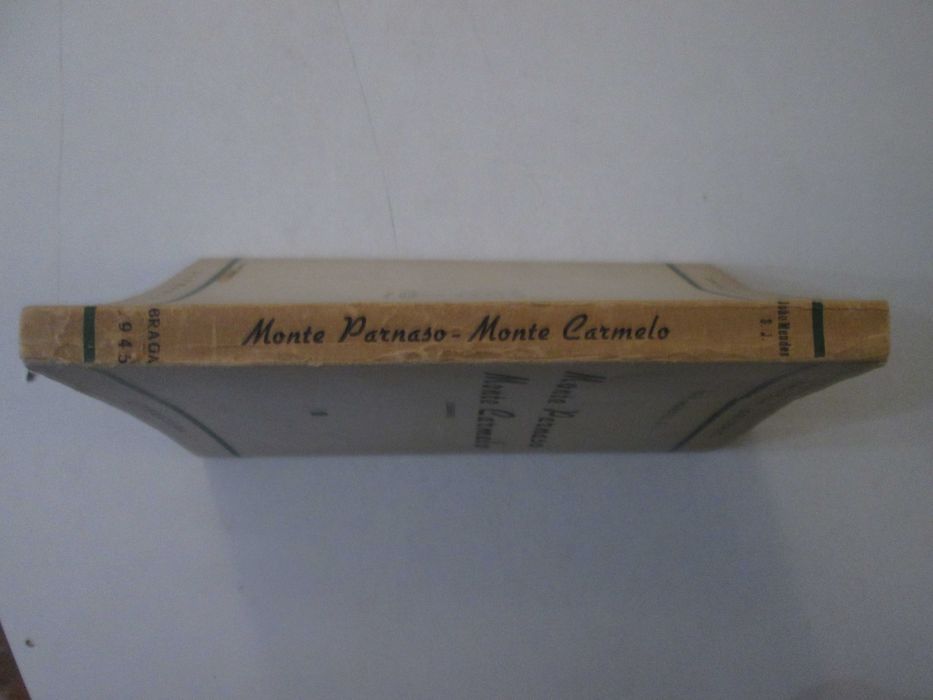 Monte Parnaso-Monte Carmelo- João Mendes S.J.