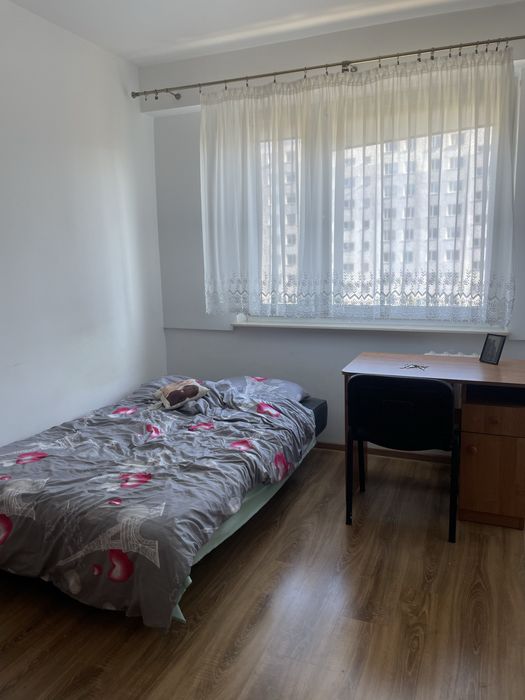 Pokój do wynajęcia