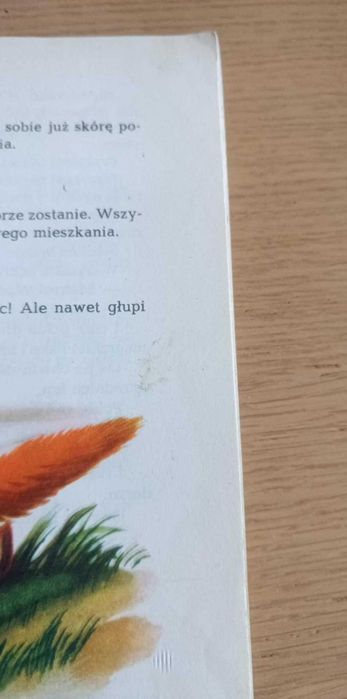 książka Zuchwały strzyżyk - Janina Porazińska