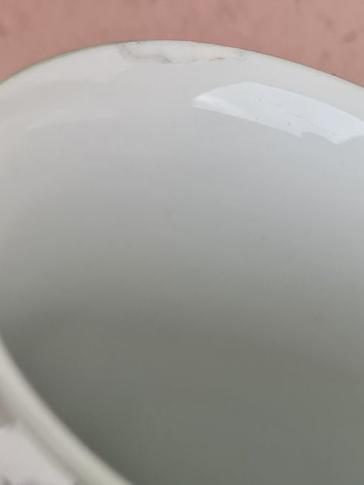 Spal prato e caneca Flor de Natal