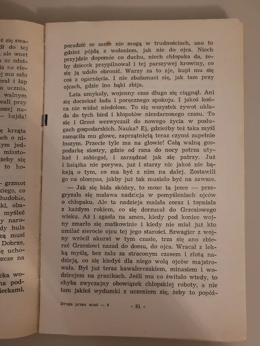 Wincenty Burek Droga przez wieś