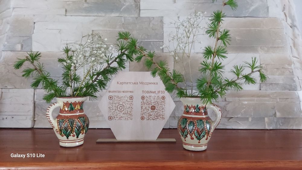 Здається котедж Карпатська модринка