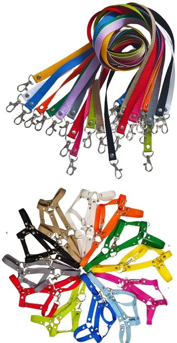 Hobby horse - JORDI - dostępny