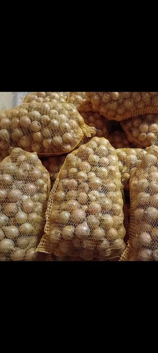 Cebula żółta 15kg