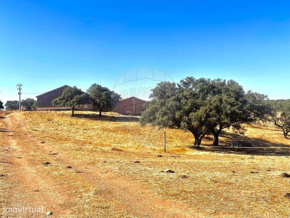 Terreno  para venda