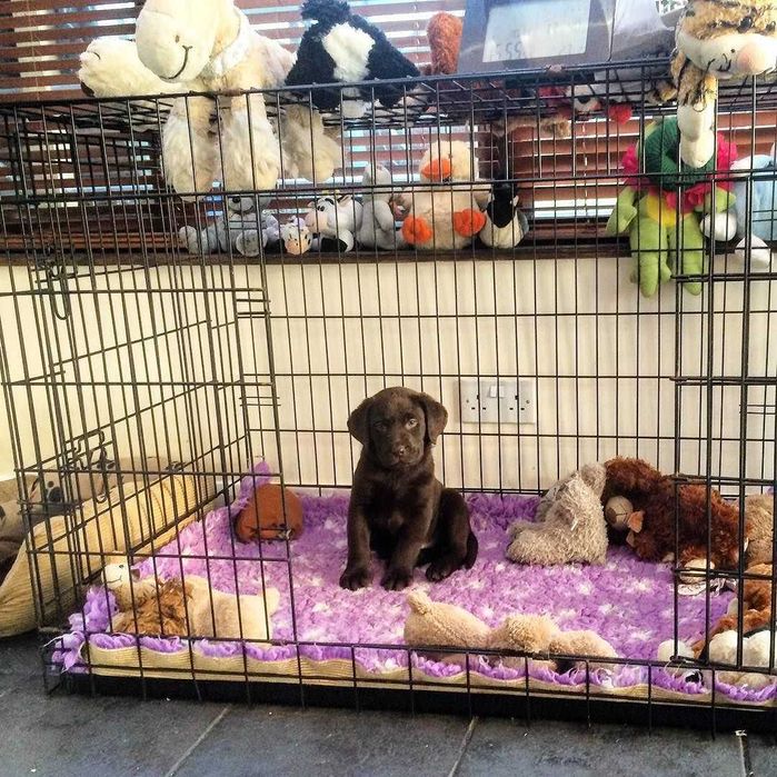 Переноска, вольер, клетка клітка для собак кошек Польша ВСЕ РАЗМЕРЫ