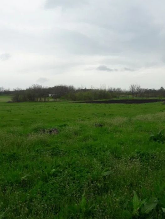 Земельна ділянка 0.25 га