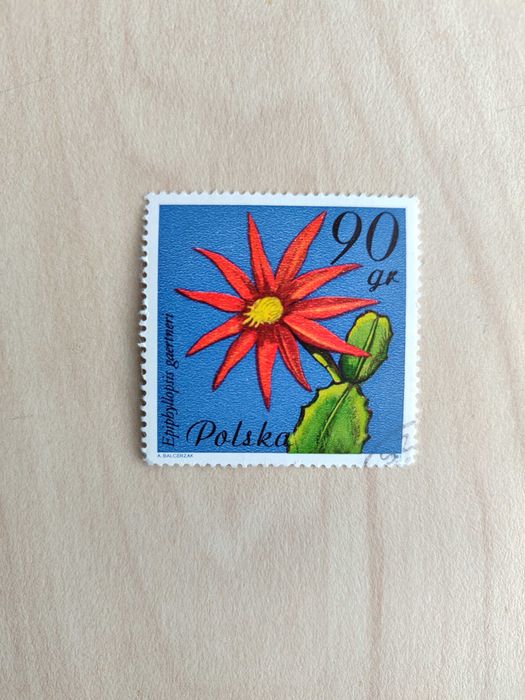 Znaczki polskie 1981: Kwiaty sukulentów – kaktusy, PRL, vintage