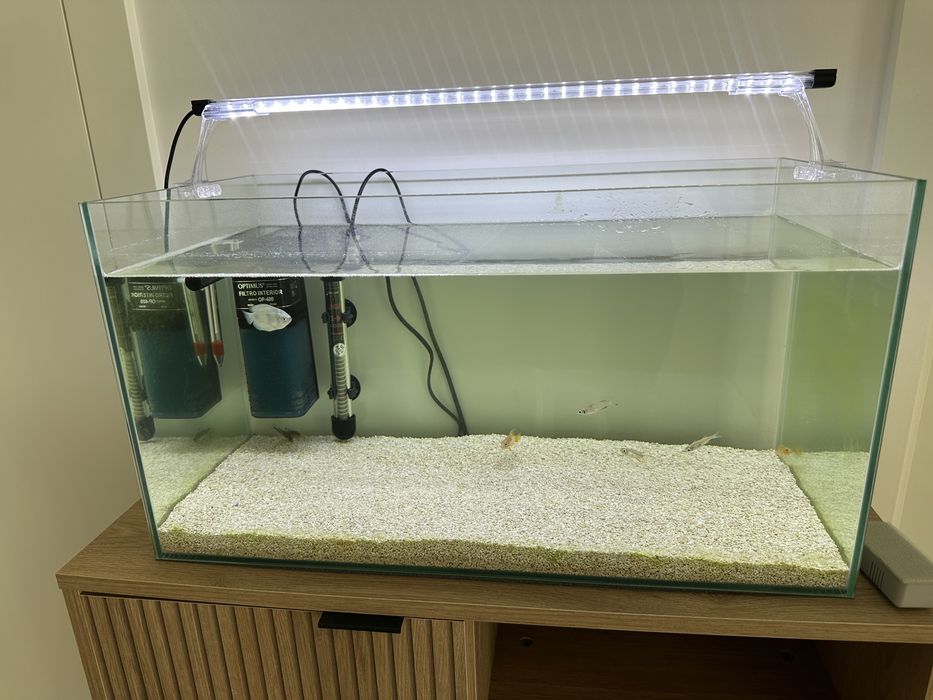 Aquario 60cm com extras