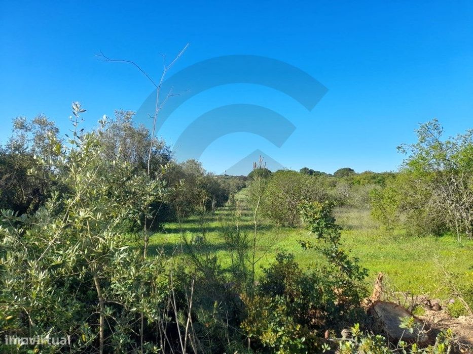 Rustic Land Plot
