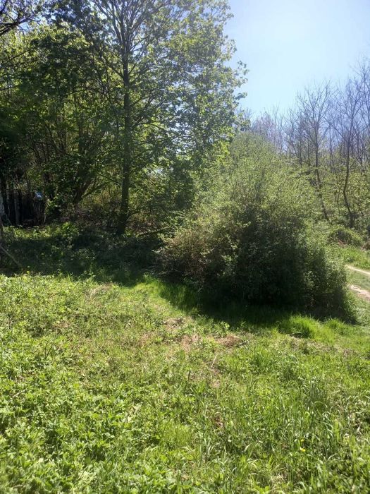 sprzedam ogródek działkowy w Katowicach, ul. Agnieszki, tuż przy Parku Śląskim - Widok 2