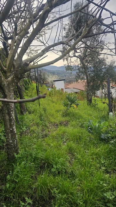 Vivenda com pequeno quintal