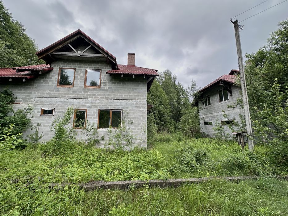 Продаж двох котеджів (або один) недалеко від Шацьку