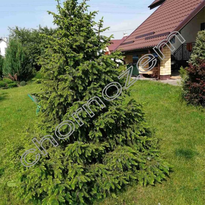 Агроткань против сорняков на метраж 90, 110 / агротканина на метраж