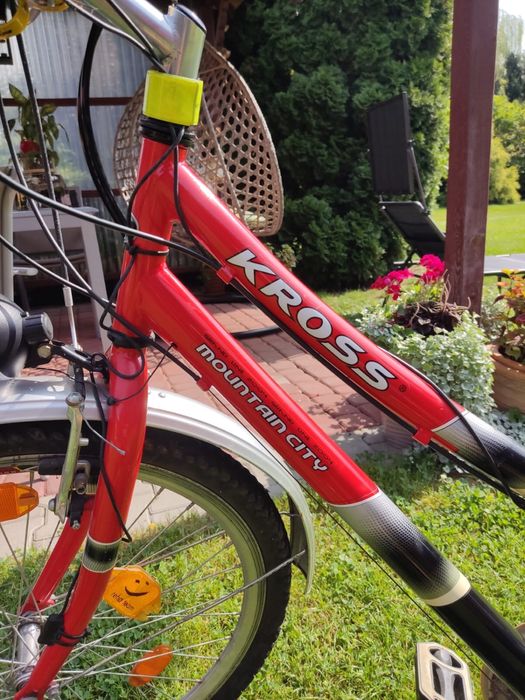 Rower Kross, model Grand Mountain City