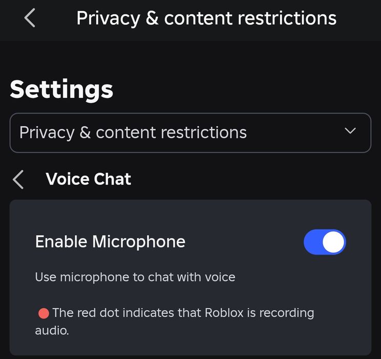 Подтвержу возраст для чата/войс чата