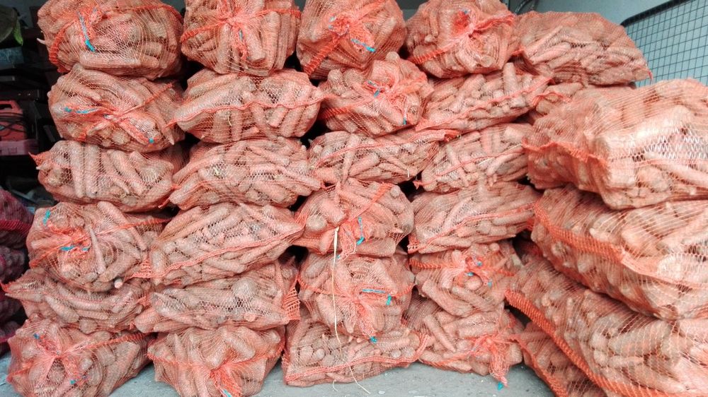 Sprzedam marchew ziemniaki