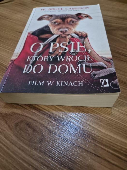 O psie który wrócił do domu