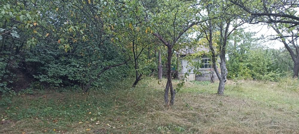 Ділянка 5.43 сот, Шкарівка Білоцерківський р-он