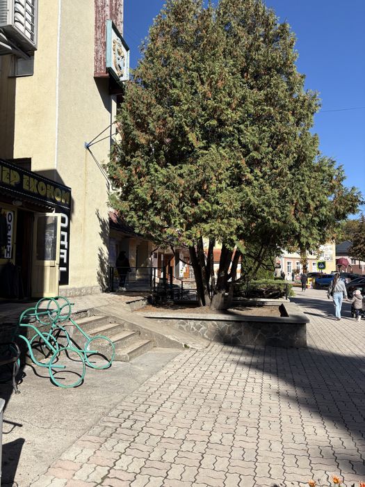 Приміщення у самісінькому центрі гуцульского Рахова