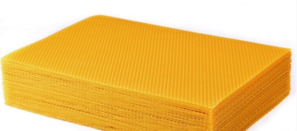 Węza pszczela wielkopolska 5,4