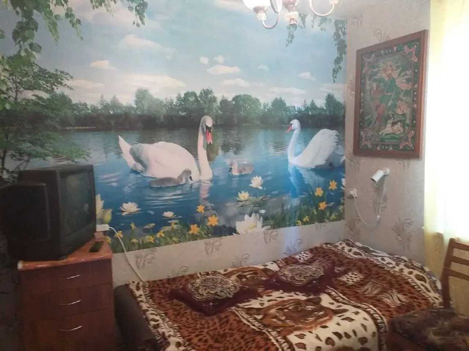 Продаж затишної дачі в Патлаївці