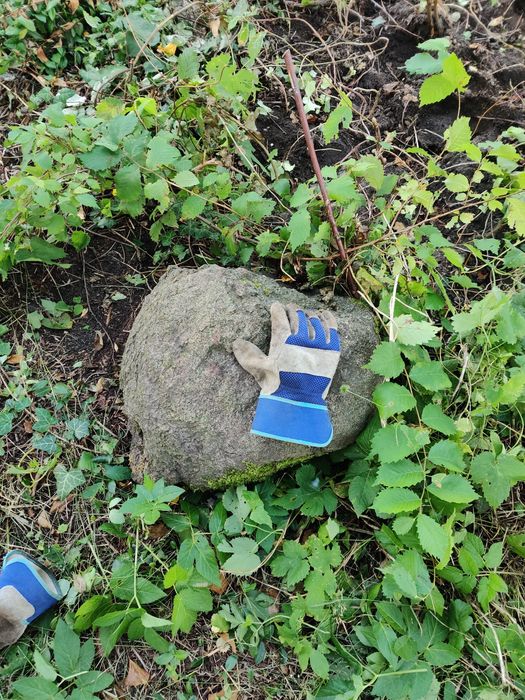 Kamienie 4 duże za darmo
